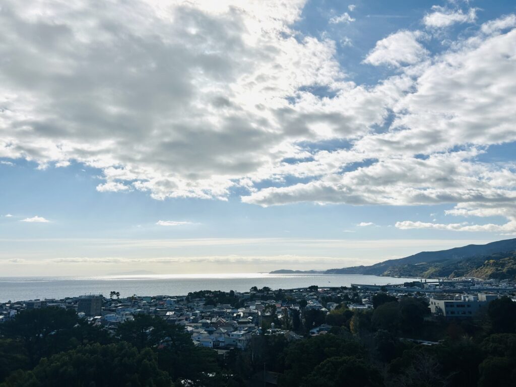 小田原城からの景色