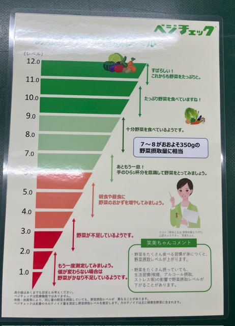 ベジチェックの表